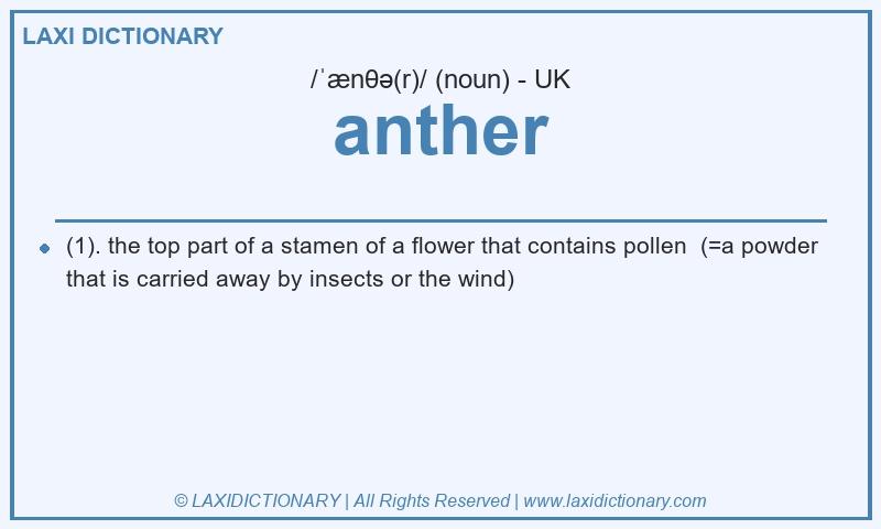 Definition anther in British English