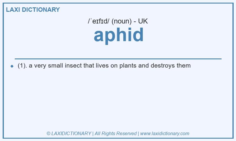 Definition aphid in British English