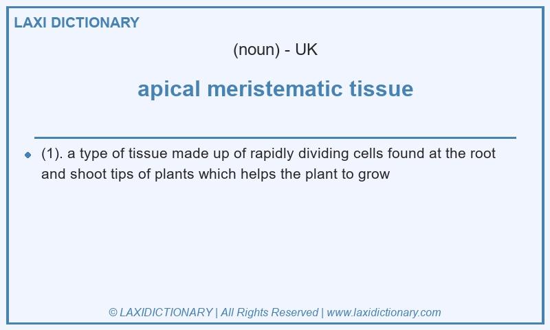 Definition apical meristematic tissue in British English