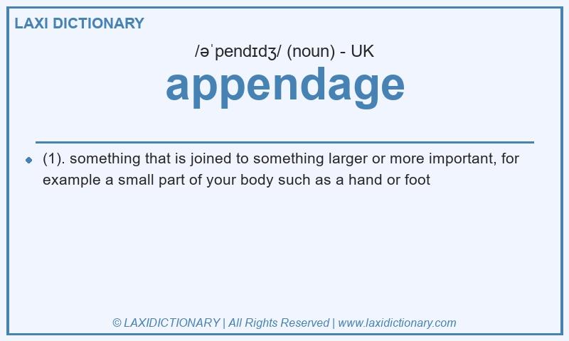 Definition appendage in British English