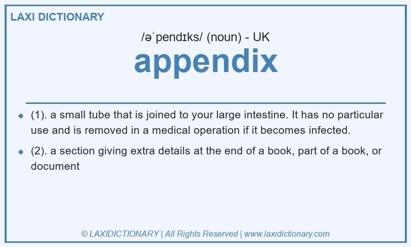 Definition appendix in British English