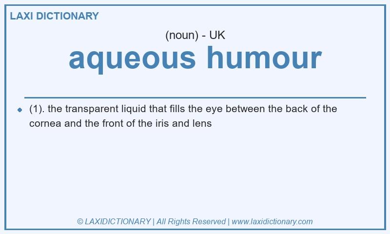 Definition aqueous humour in British English
