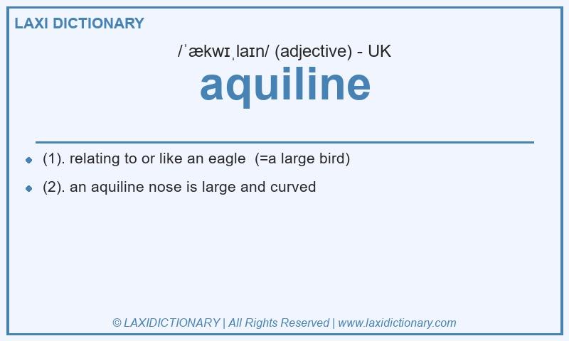 Definition aquiline in British English