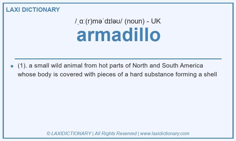 Definition armadillo in British English