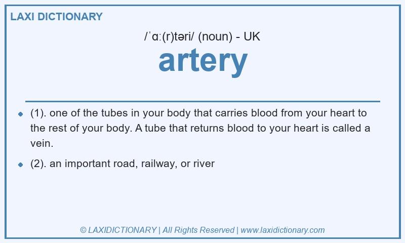 Definition artery in British English