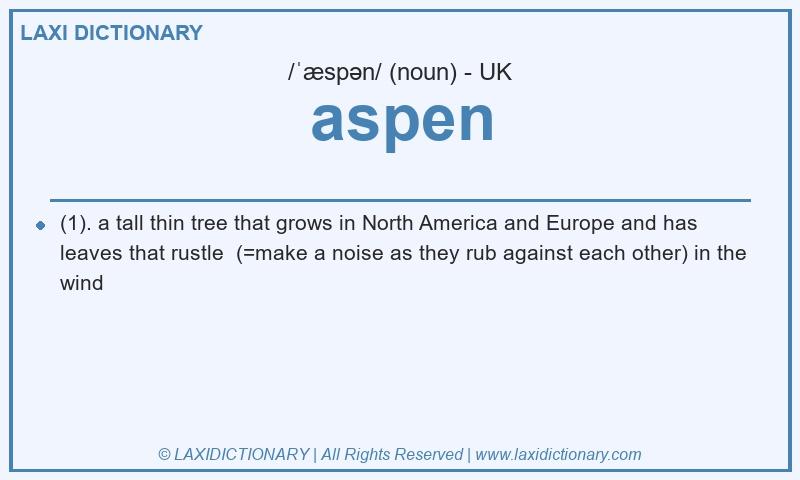 Definition aspen in British English
