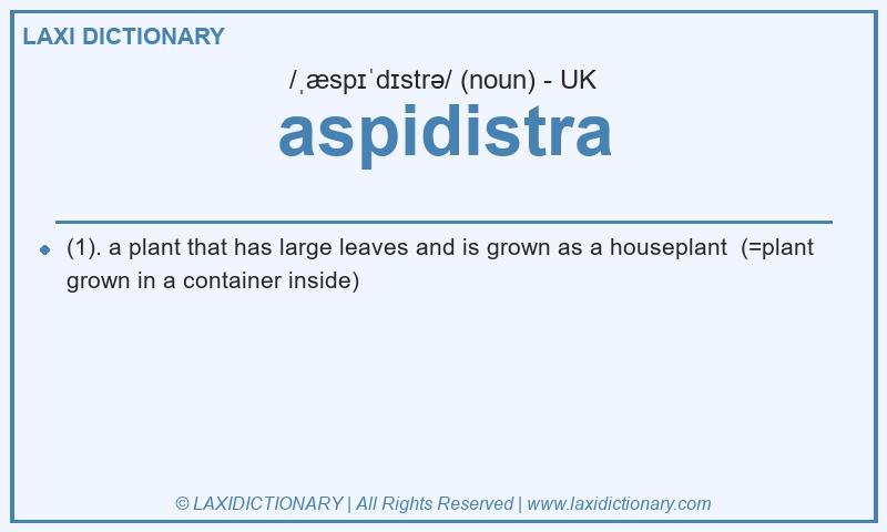 Definition aspidistra in British English