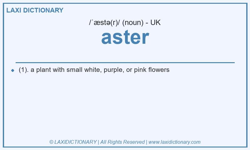 Definition aster in British English