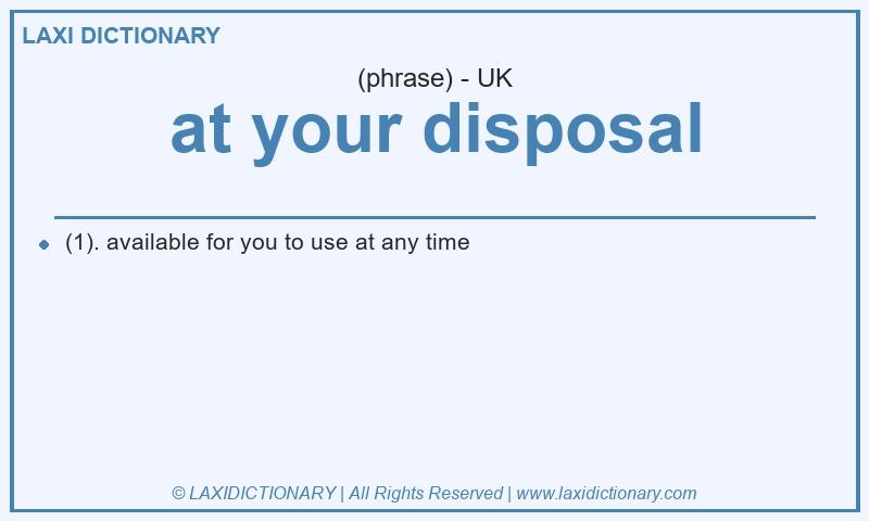 Definition at your disposal in British English