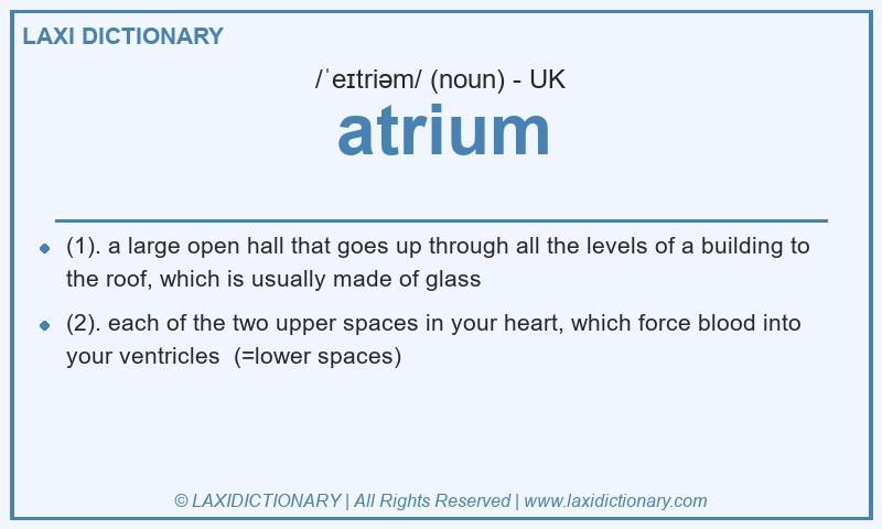 Definition atrium in British English