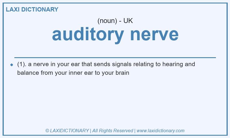 Definition auditory nerve in British English