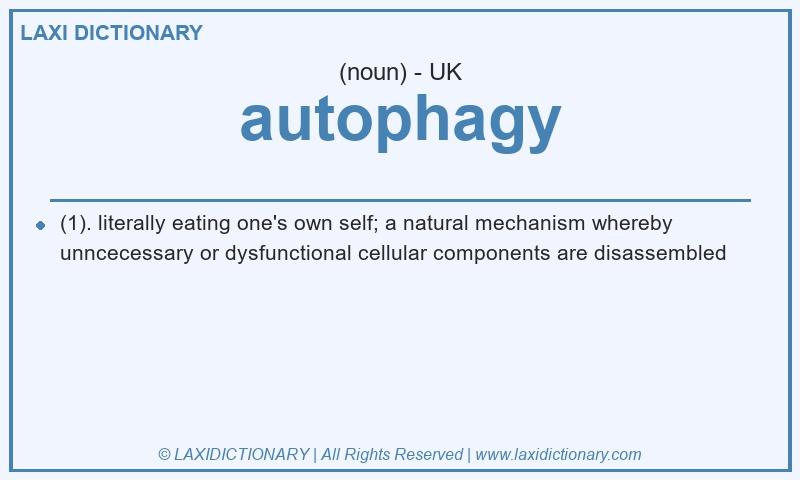 Definition autophagy in British English