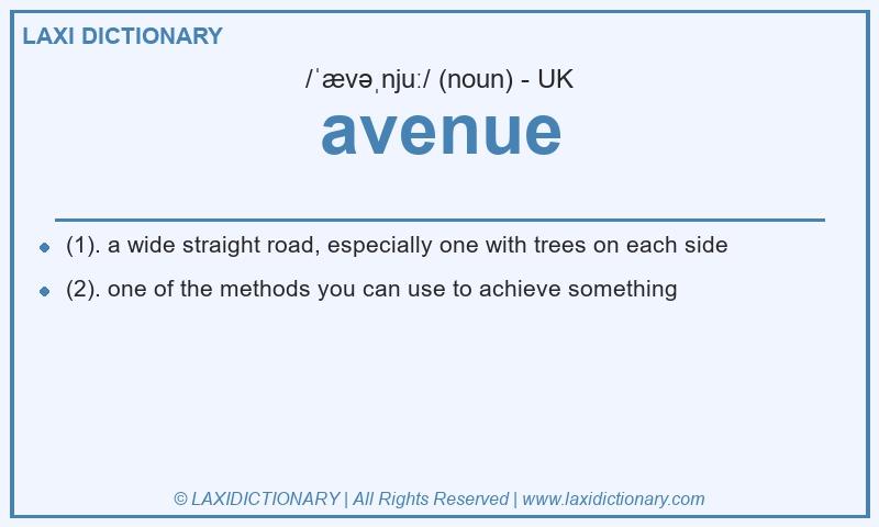 Definition avenue in British English