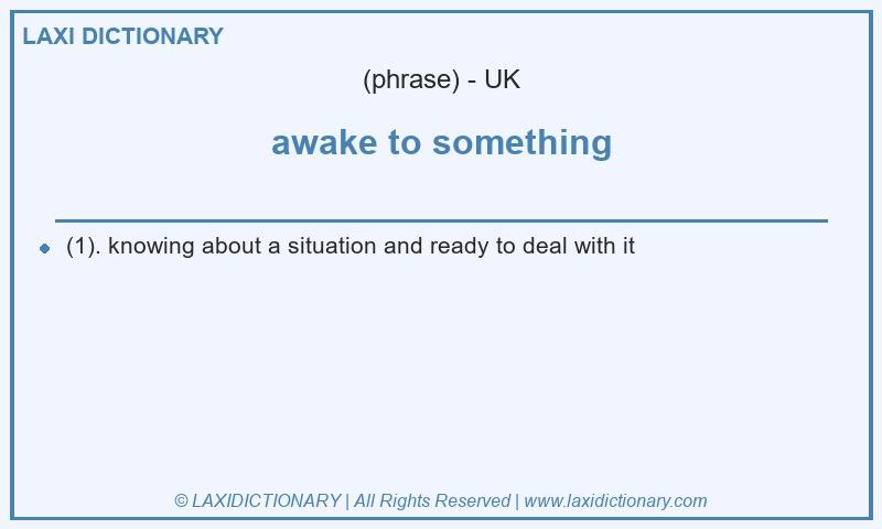 Definition awake to something in British English