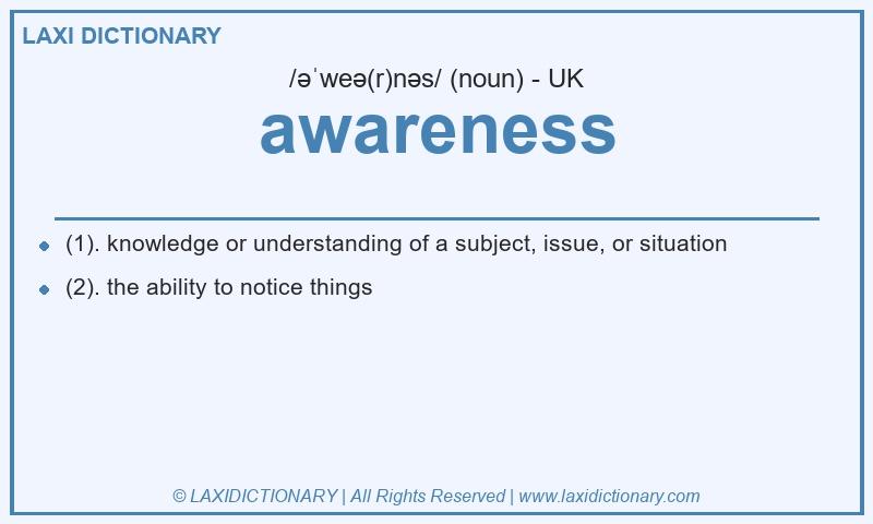Definition awareness in British English