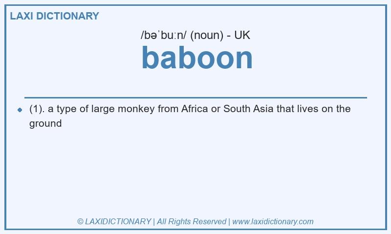 Definition baboon in British English