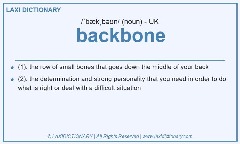 Definition backbone in British English