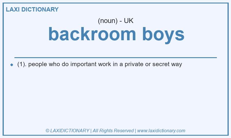 Definition backroom boys in British English