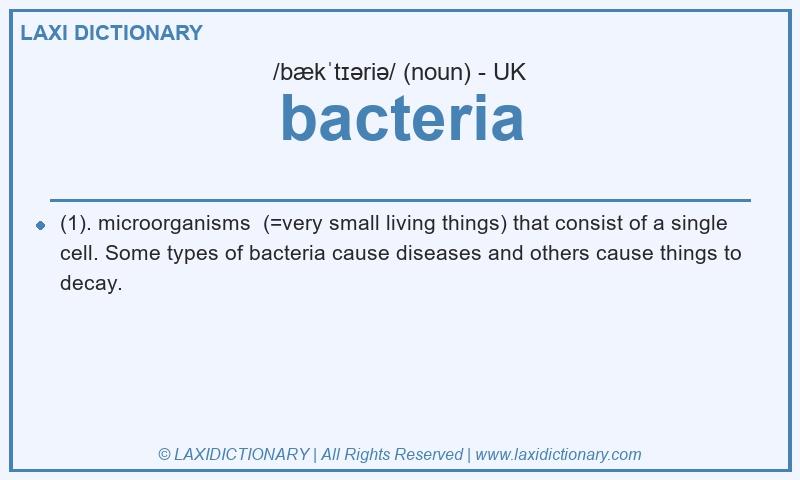 Definition bacteria in British English