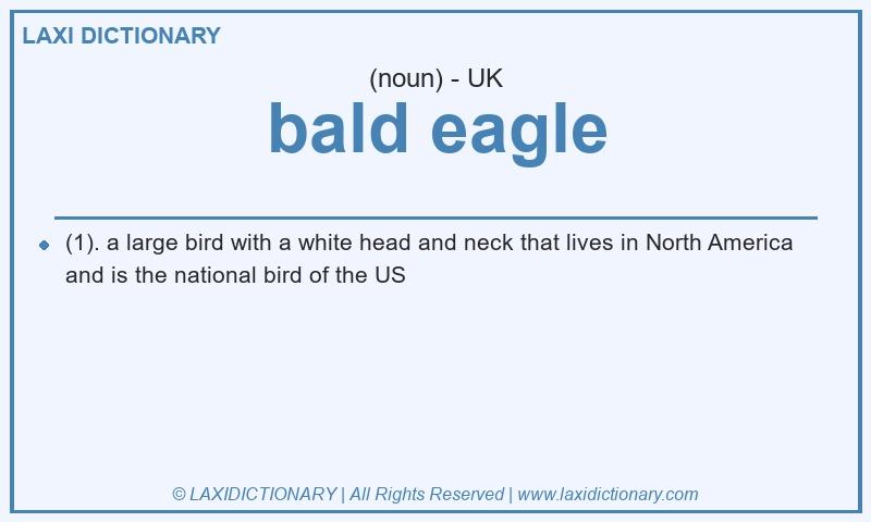 Definition bald eagle in British English