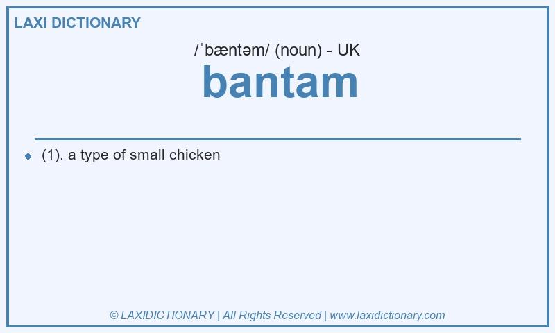 Definition bantam in British English