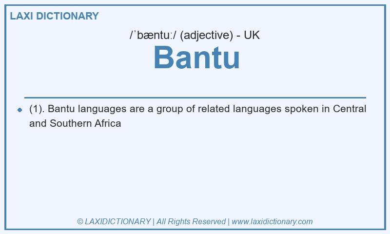 Definition Bantu in British English