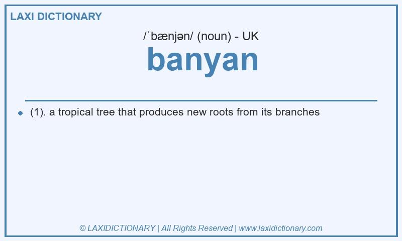 Definition banyan in British English