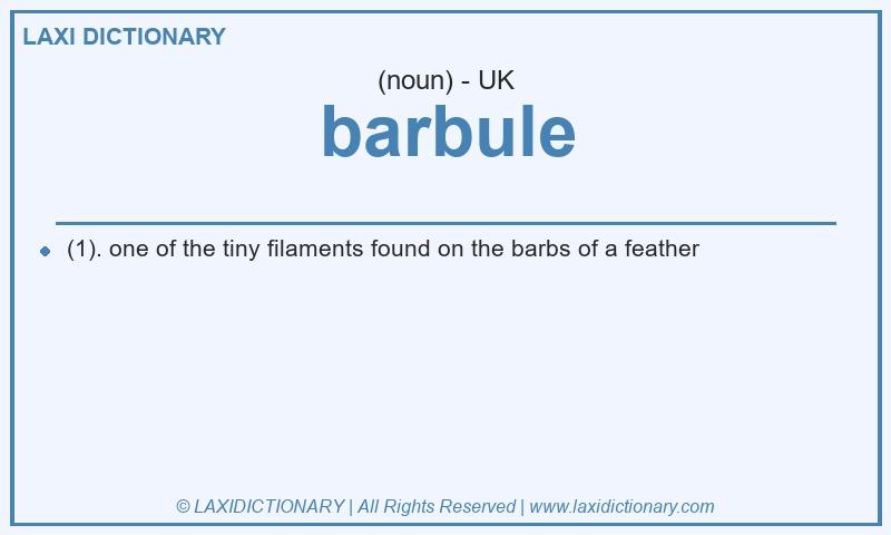 Definition barbule in British English