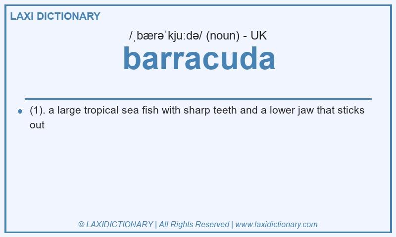 Definition barracuda in British English