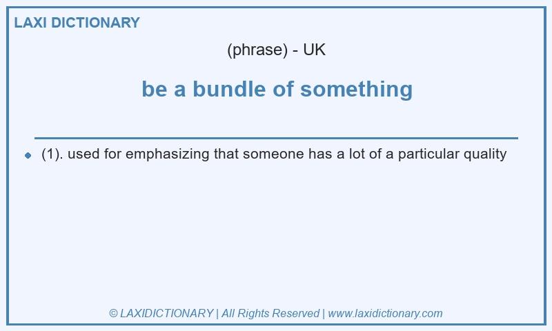 Definition be a bundle of something in British English