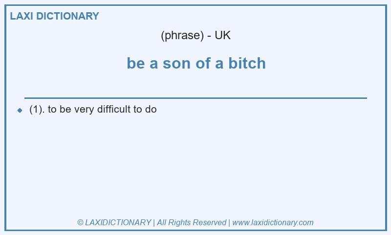 Definition be a son of a bitch in British English