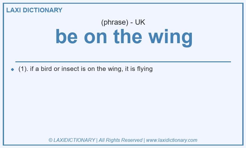 Definition be on the wing in British English
