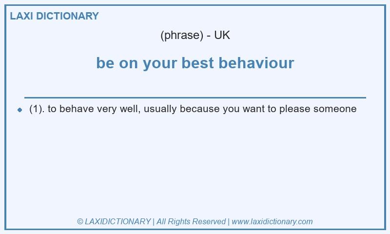 Definition be on your best behaviour in British English