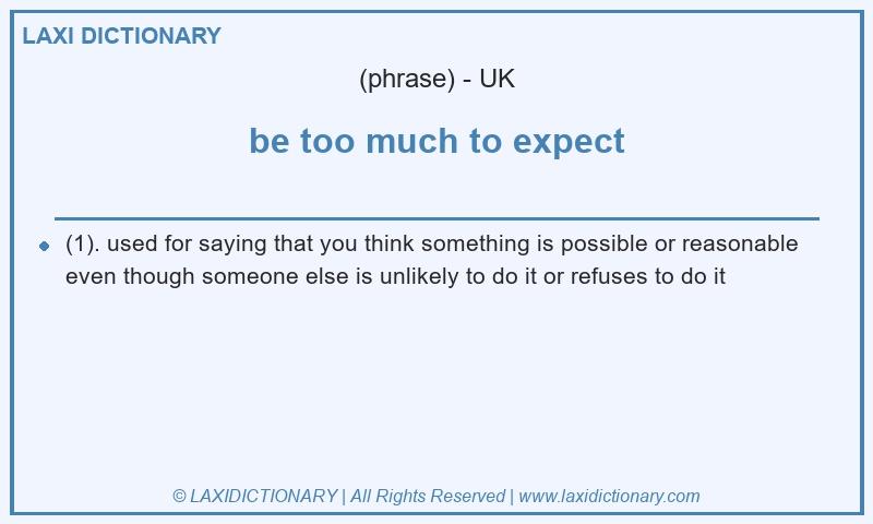 Definition be too much to expect in British English