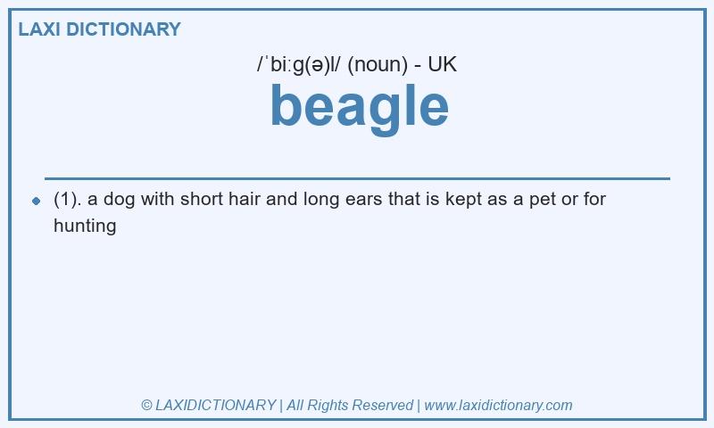 Definition beagle in British English