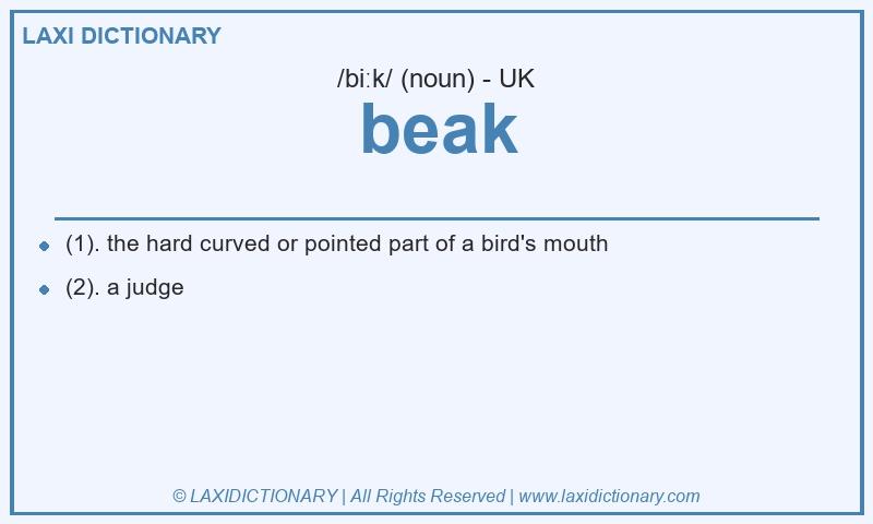 Definition beak in British English