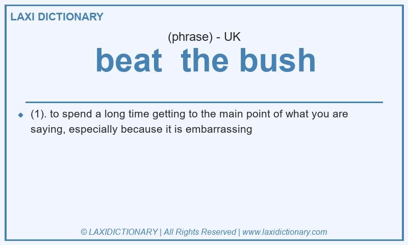 Definition beat  the bush in British English