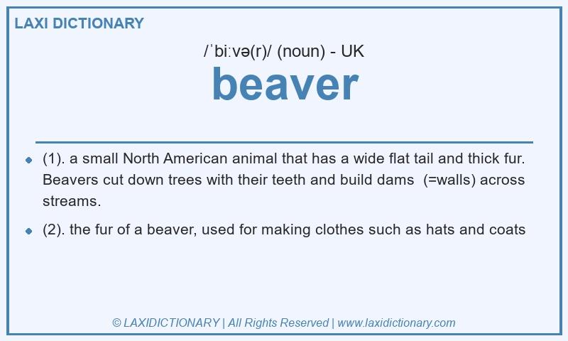 Definition beaver in British English