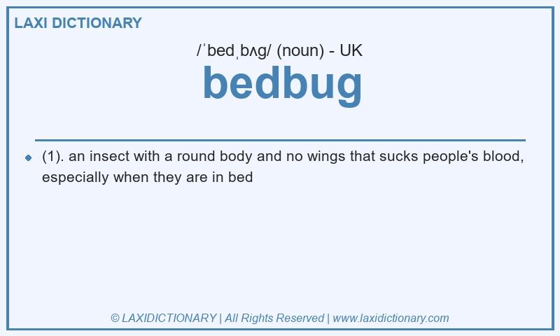 Definition bedbug in British English