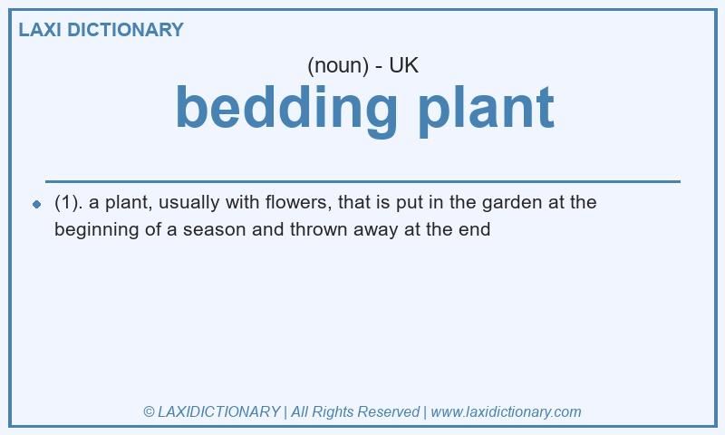 Definition bedding plant in British English