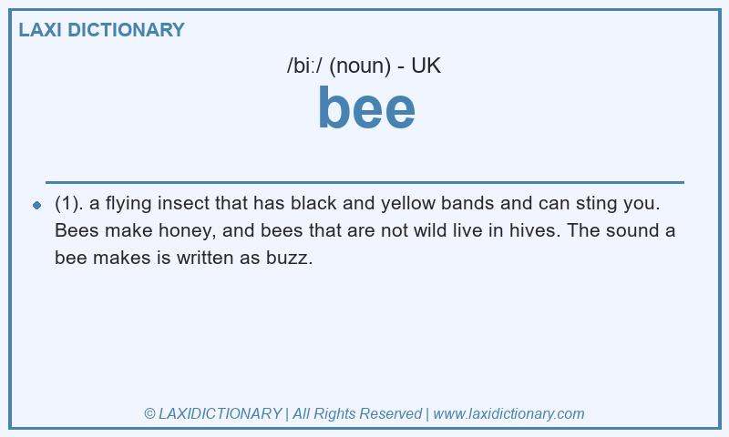 Definition bee in British English