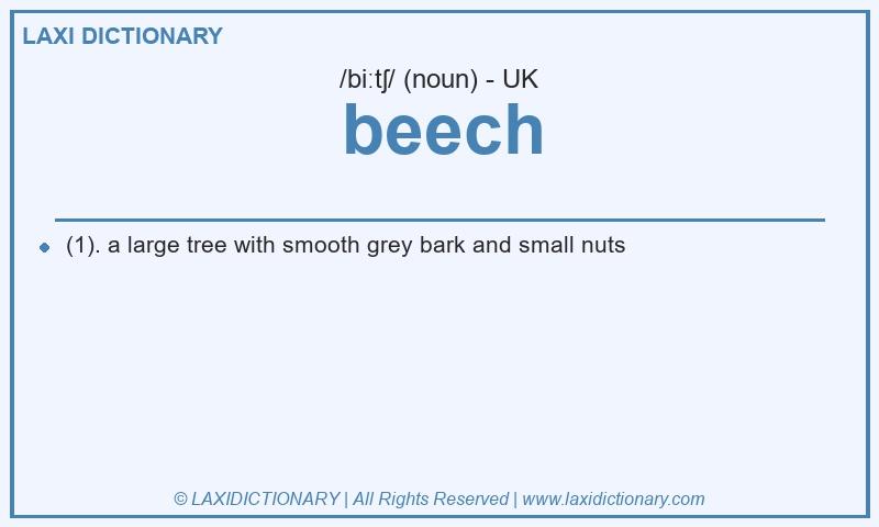 Definition beech in British English