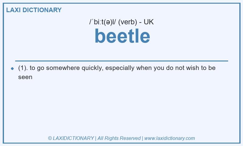Definition beetle in British English