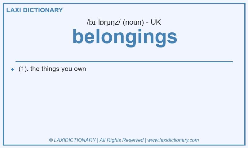 Definition belongings in British English