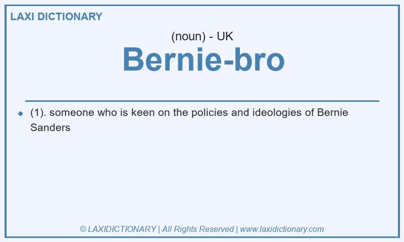 Definition Bernie-bro in British English