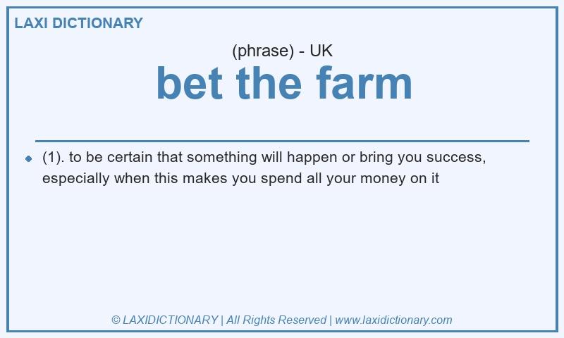 Definition bet the farm in British English