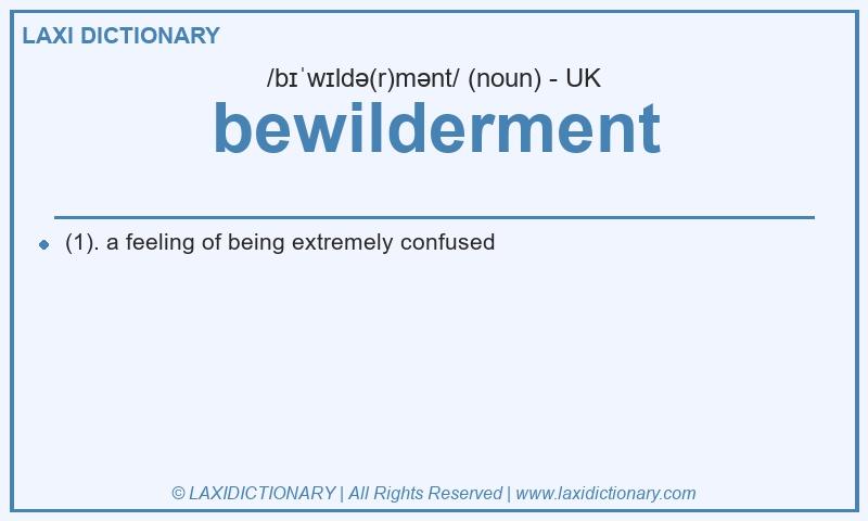 Definition bewilderment in British English