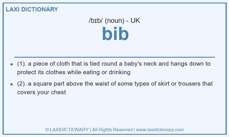 Definition bib in British English