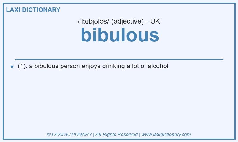 Definition bibulous in British English