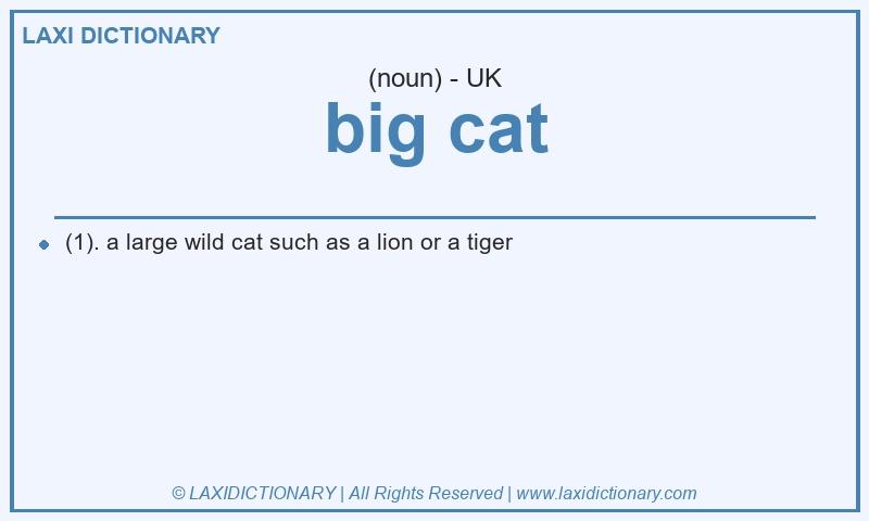 Definition big cat in British English
